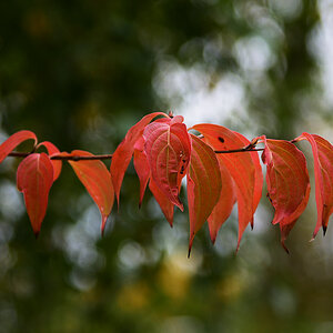 811_7960fks70p1.jpg