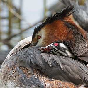 D50_4235_gemeinsame Siesta_IA_6_2021.jpg