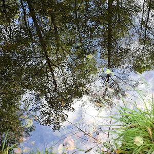 DSC_1321.jpeg
