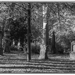 comp_D85_0411-Bearbeitet-2.jpg