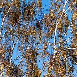 20211028-D50_3688.jpg