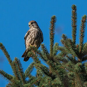 20211028-D50_3693-Bearbeitet.jpg