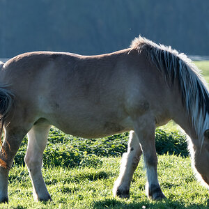 20211028-D50_3683-Bearbeitet.jpg