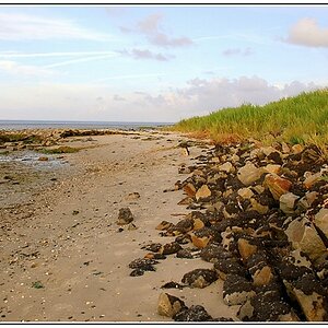 Borkum 2008_NF-F
