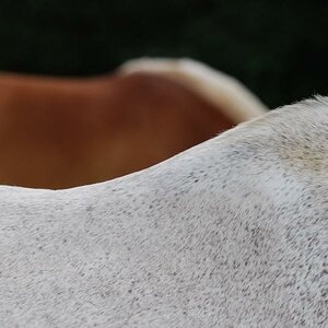 DSC 5410