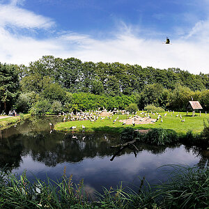 Storchenreservat Naturzoo Rheine