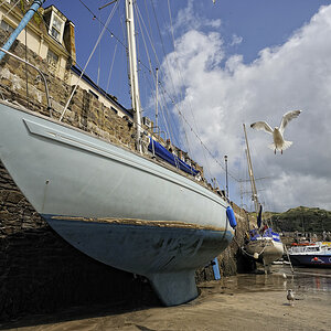 Ilfracombe (Devon)