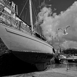 Ilfracombe (Devon)