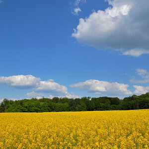 landschaft03