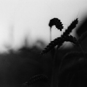 analog ports aug 2009 024 2