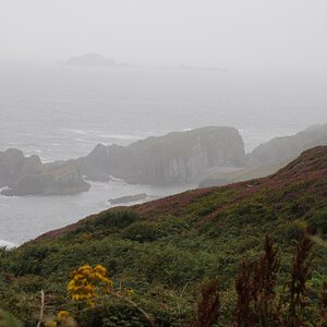 Rosscarbery/Glandore
