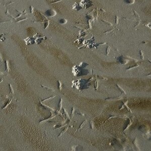 Watt_2
