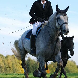 Galopp