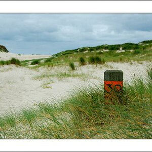 de Kerf
Dünen Gebiet bei Schoorl, NL