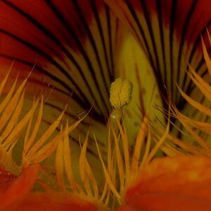 018