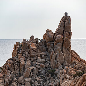 Z6H_0819.jpg