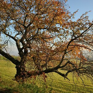 DSC_2881_00001n.jpg