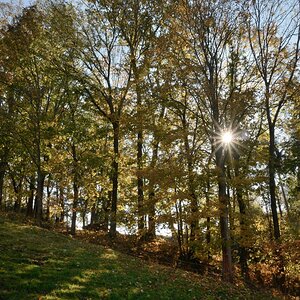 DSC_2913_00001n.jpg