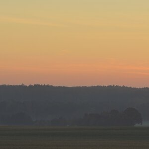 DSC_2542_00001_01.jpg
