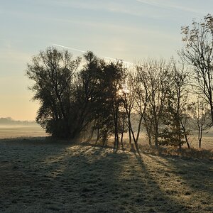 DSC_2582_00001n.jpg