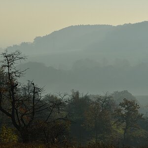 DSC_2606_00001n.jpg