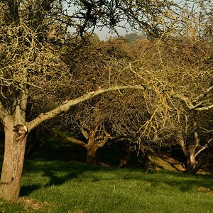 DSC_2637_00001n1.jpg
