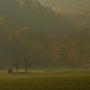DSC_2646_00001n.jpg
