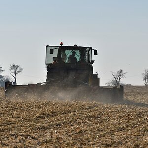 DSC_2727_00001n.jpg