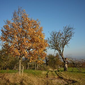 DSC_2889_00001n.jpg