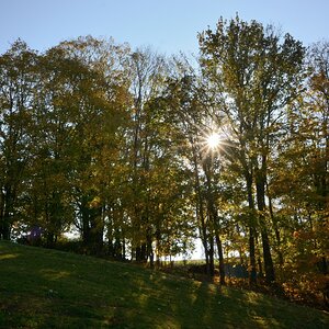 DSC_2911_00001n.jpg