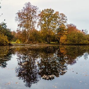 TZ_DSC03126_A.jpg