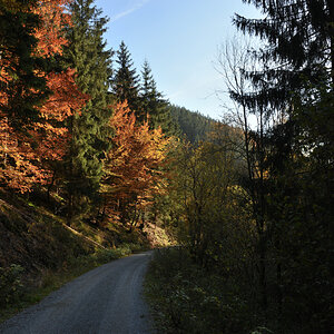 DSC_9095.JPG