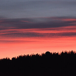 DSC_9206.JPG