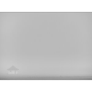 SasaDSC_5523.jpg