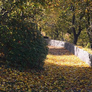 C71_2789.jpg