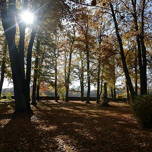 C71_2791.jpg