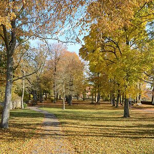 C71_2800.jpg