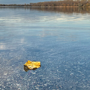 IMG_7737.jpg