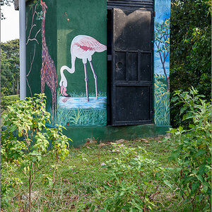 D75_6521.jpg