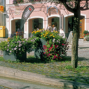 scan0021_DxO-denoise-clear_PerfectlyClear (2).jpg