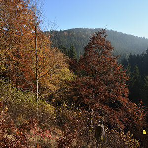 DSC_9162.JPG