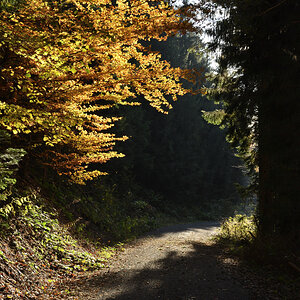 DSC_9102.JPG