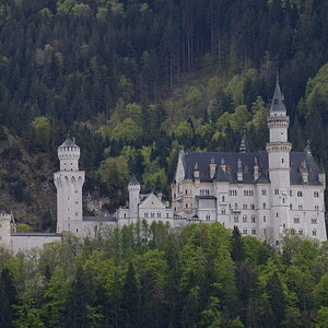 Berlebach.JPG
