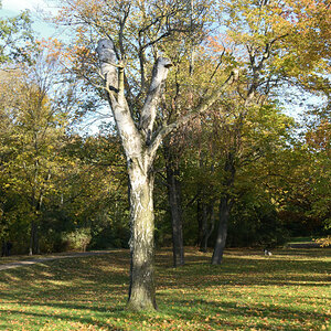 DSC_9670.JPG