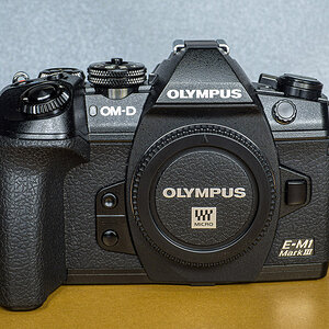 OLY24279.jpg
