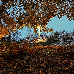 TZ_2021-11-03_17-01.jpg