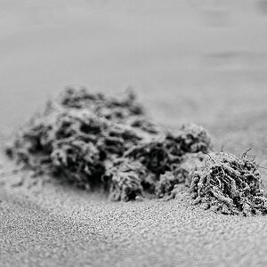 Sandverwehung