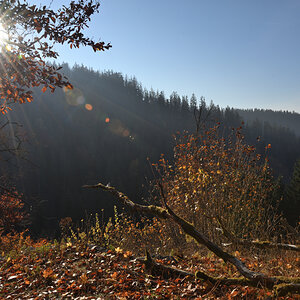 DSC_9153.JPG