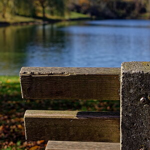 DSC_2767_DxO.jpg
