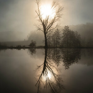 On a Foggy Morning